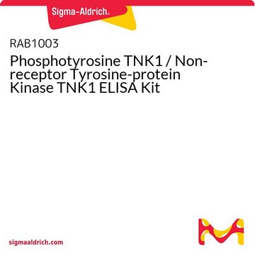 Phosphotyrosine TNK1 / Non-receptor Tyrosine-protein
