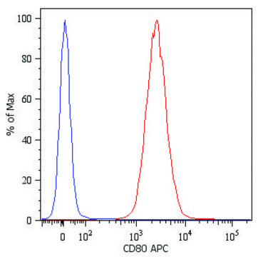 Monoclonal Anti-CD80-APC antibody produced in