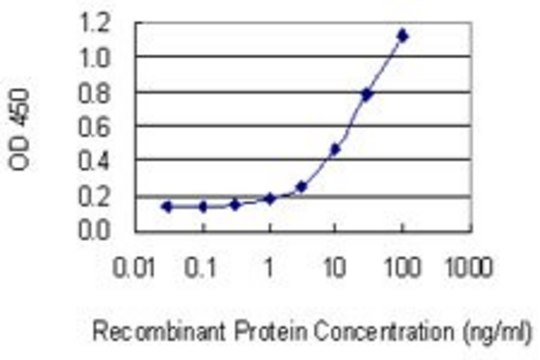 Monoclonal Anti-TNR antibody produced in