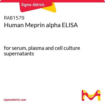 Human Meprin alpha ELISA