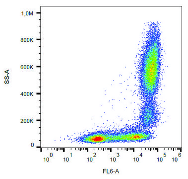 Monoclonal Anti-CD11b-APC antibody produced in