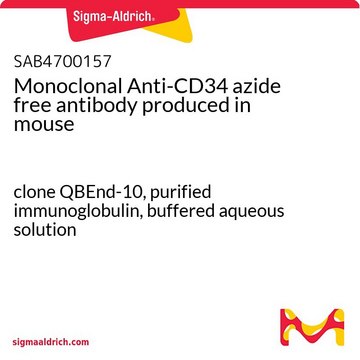 Monoclonal Anti-CD34 azide free antibody