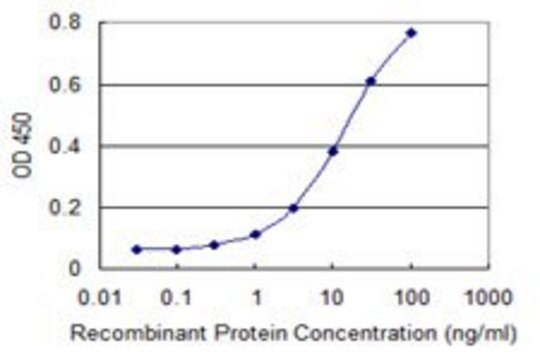 Monoclonal Anti-RNF175 antibody produced in