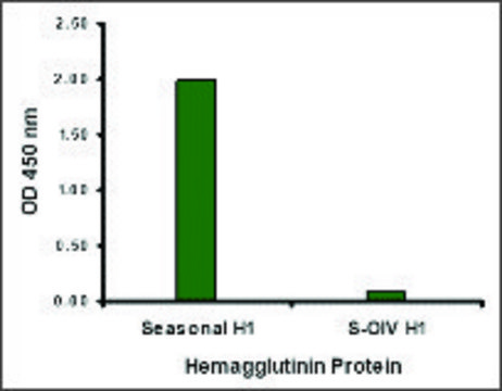 Anti-Seasonal H1N1 Hemagglutinin antibody produced