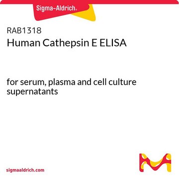 Human Cathepsin E ELISA