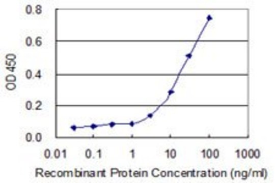Monoclonal Anti-SPSB1 antibody produced in
