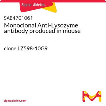 Monoclonal Anti-Lysozyme antibody produced in
