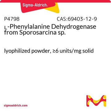 ?-Phenylalanine Dehydrogenase from Sporosarcina sp.