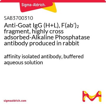 Anti-Goat IgG (H+L), F(ab?)? fragment,