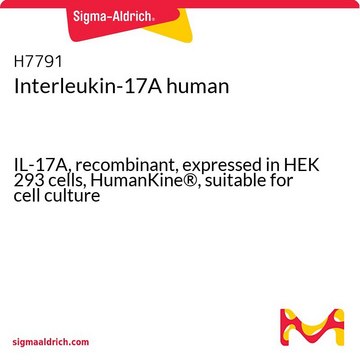 Interleukin-17A human