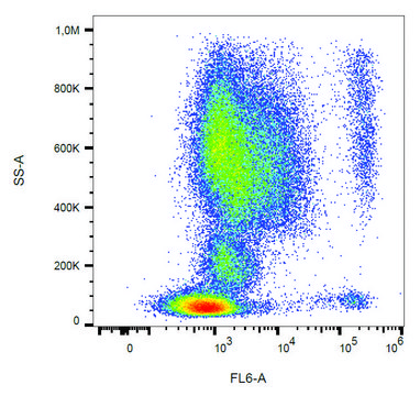 Monoclonal Anti-CD193 antibody produced in
