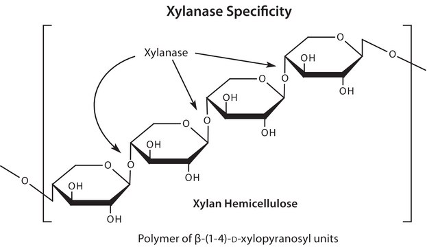Hemicellulase from Aspergillus niger