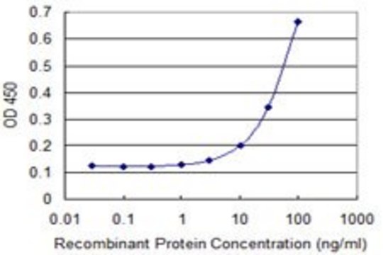 Monoclonal Anti-SNX24 antibody produced in