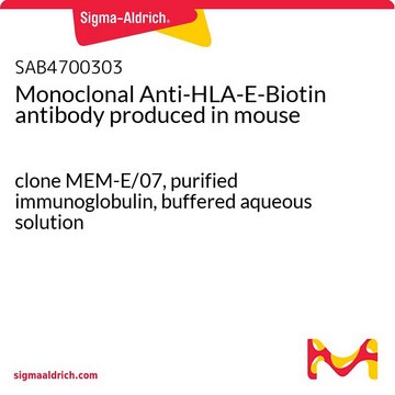 Monoclonal Anti-HLA-E-Biotin antibody produced in