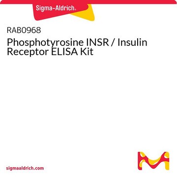 Phosphotyrosine INSR / Insulin Receptor