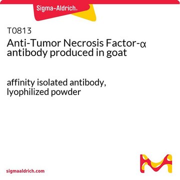 Anti-Tumor Necrosis Factor-? antibody produced