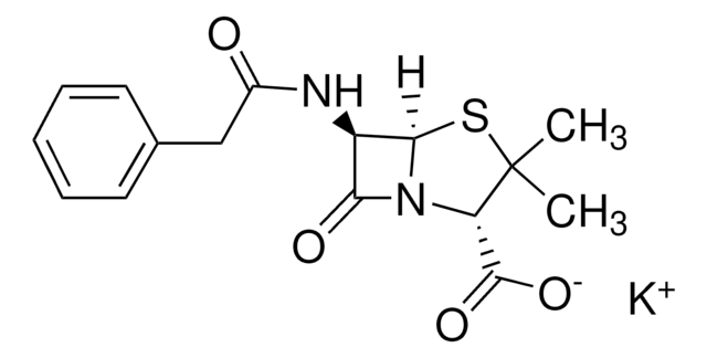 Penicillin G Potassium