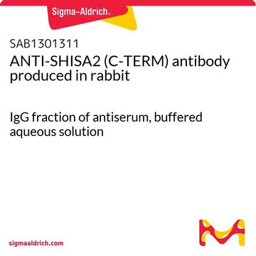 ANTI-SHISA2 (C-TERM) antibody produced in