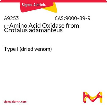 ?-Amino Acid Oxidase from Crotalus