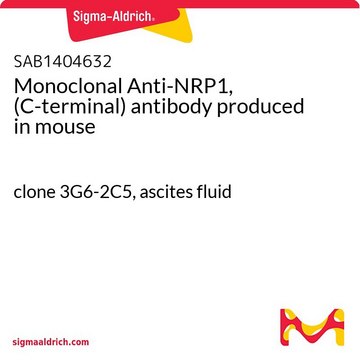 Monoclonal Anti-NRP1, (C-terminal) antibody produced