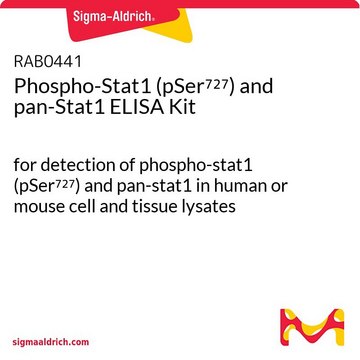 Phospho-Stat1 (pSer?²?) and pan-Stat1 ELISA