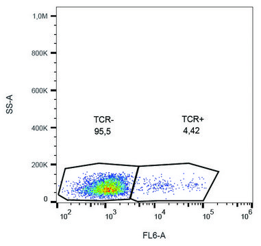 Monoclonal Anti-TCR gamma/delta antibody produced