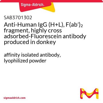 Anti-Human IgG (H+L), F(ab?)? fragment,