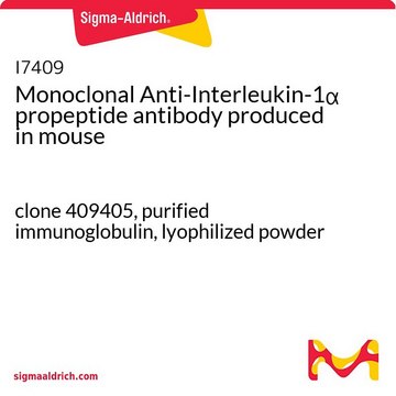 Monoclonal Anti-Interleukin-1? propeptide antibody produced
