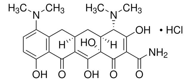 MINOCYCLINE HYDROCHLORIDE, UNITED STATES