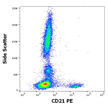 Monoclonal Anti-CD21-PE antibody produced in