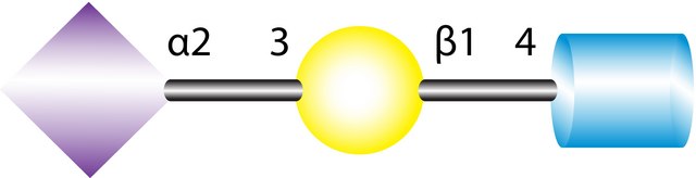 3?-N-Acetylneuraminyl-N-acetyllactosamine sodium salt