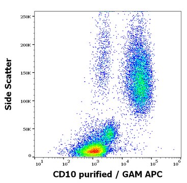 Monoclonal Anti-CD10 antibody produced in