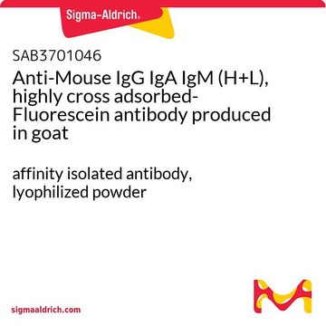 Anti-Mouse IgG IgA IgM (H+L),