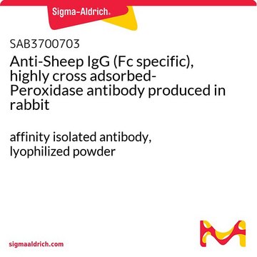 Anti-Sheep IgG (Fc specific), highly