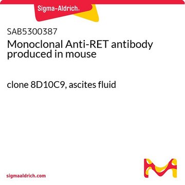 Monoclonal Anti-RET antibody produced in