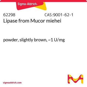 Lipase from Mucor miehei