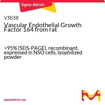 Vascular Endothelial Growth Factor 164