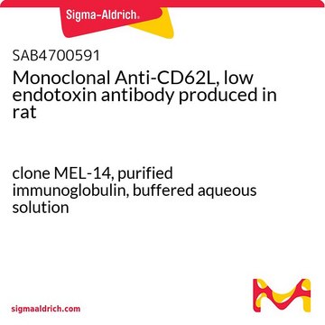 Monoclonal Anti-CD62L, low endotoxin antibody