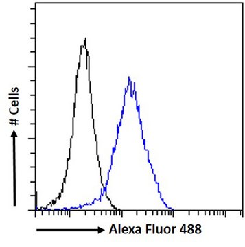 Anti-CCM2 antibody produced in goat
