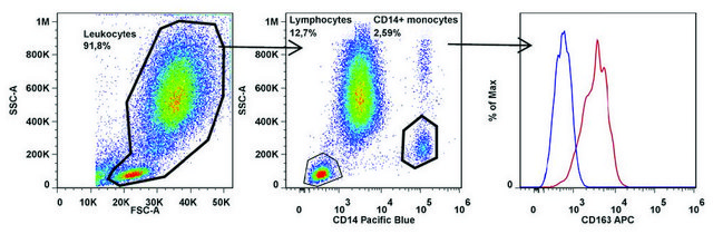 Monoclonal Anti-CD163 antibody produced in