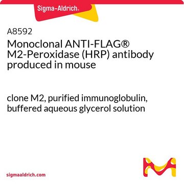Monoclonal ANTI-FLAG® M2-Peroxidase (HRP) antibody