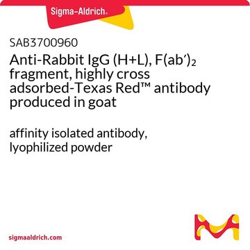 Anti-Rabbit IgG (H+L), F(ab?)? fragment,