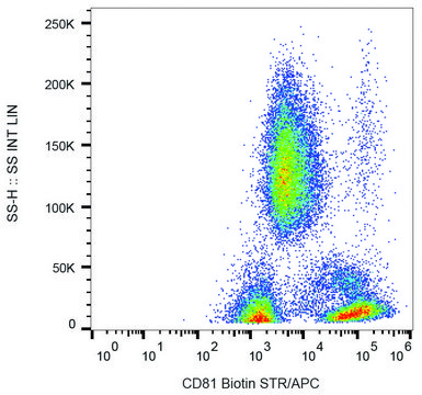 Monoclonal Anti-CD81 antibody produced in