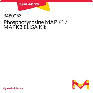 Phosphotyrosine MAPK1 / MAPK3 ELISA