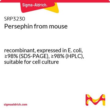 Persephin from mouse