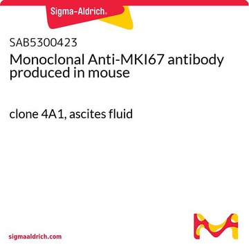 Monoclonal Anti-MKI67 antibody produced in