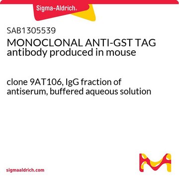 MONOCLONAL ANTI-GST TAG antibody produced