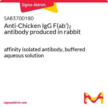Anti-Chicken IgG F(ab?)? antibody produced