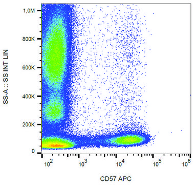 Monoclonal Anti-CD57-APC antibody produced in