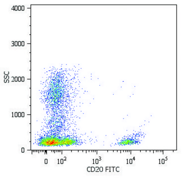 Monoclonal Anti-CD20-FITC antibody produced in